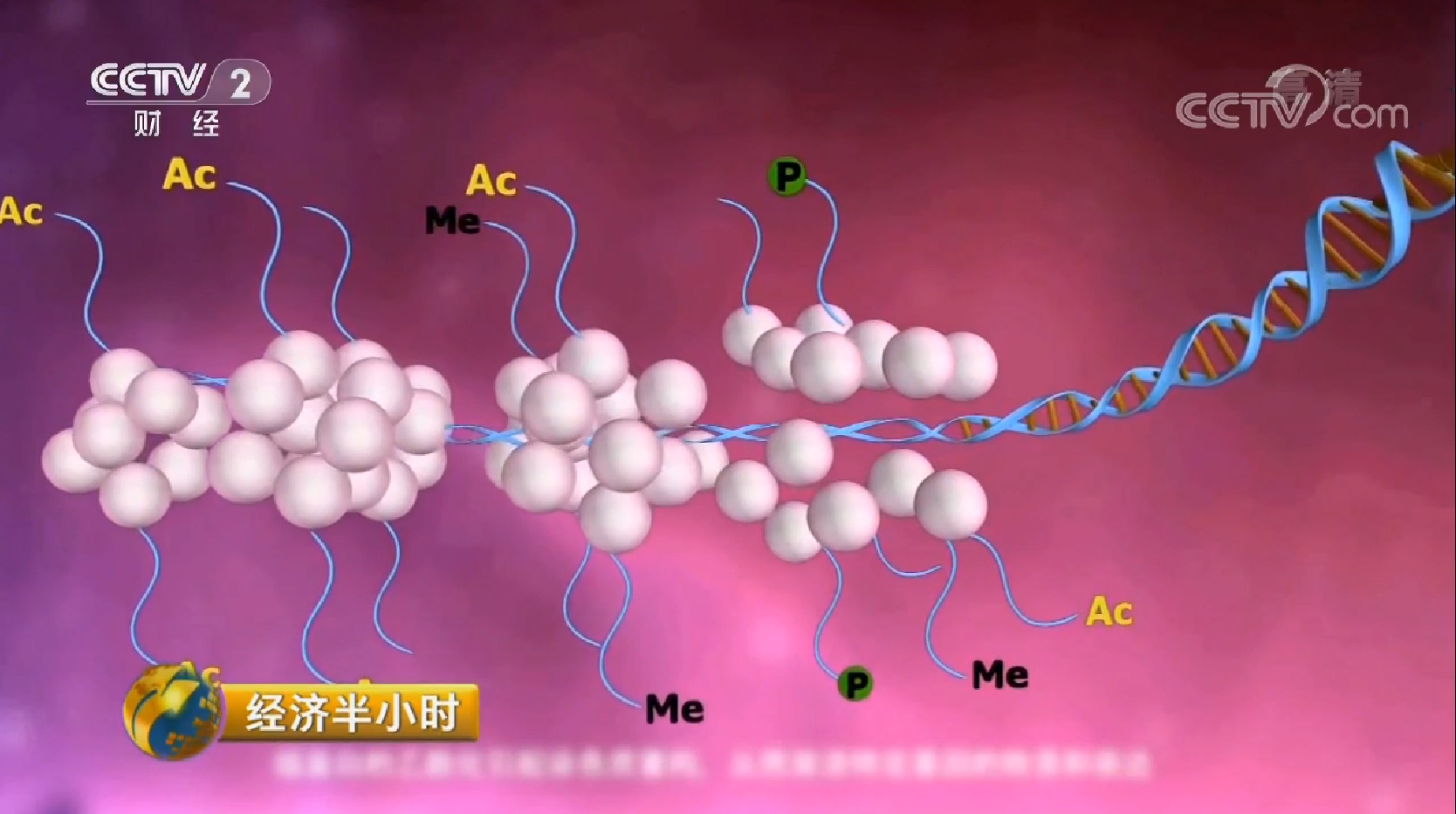 《经济半小时》中国经济新坐标：原创新药中国造